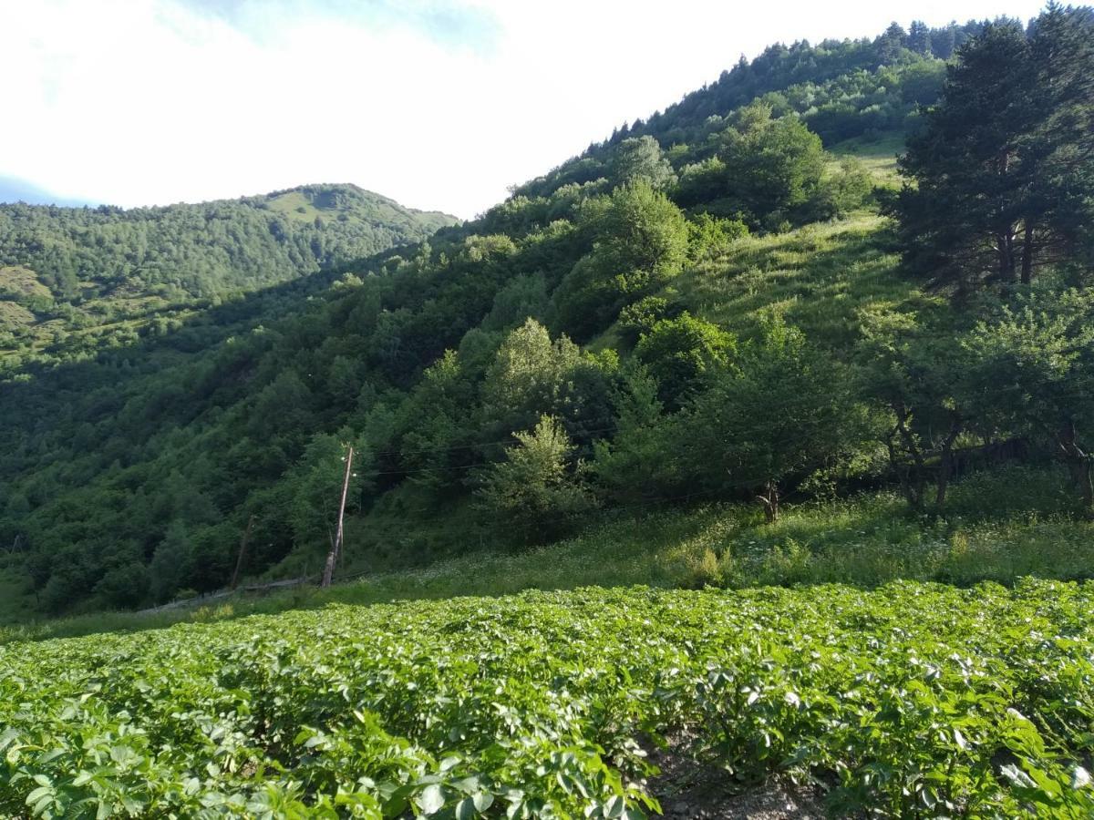Bed and Breakfast Raul Lushnu Darbaz Mestia Exterior foto